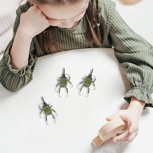 Pcs insect life cycle toys - life,