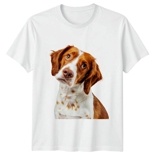 Brittany spaniel portrait - brittany,