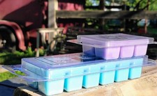 Scented Soy Blend Wax Tarts