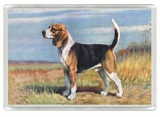 BEAGLE BEAUTIFUL DOG ART PRINT