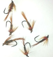6 No BARBLESS Cruncher with