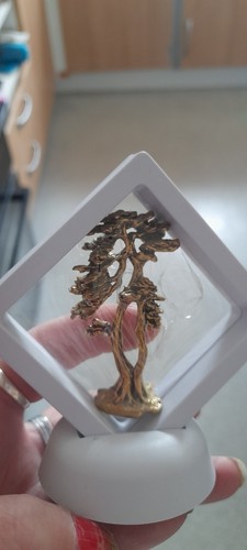 Bonsai tree collectable - bonsai,