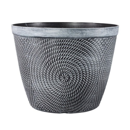 Round silver grey plant - plant, pot