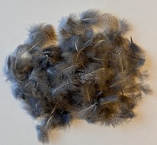 English Partridge Feathers
