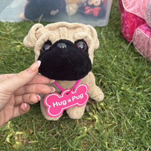 Hug pug teddy bear - teddy,