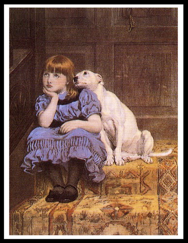 Bull terrier comforts sad - terrier,