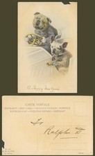 Bulldog Bull Dogs, Dog Driving