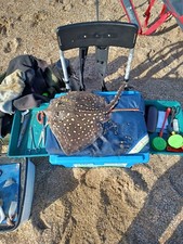 used sea fishing tackle joblot