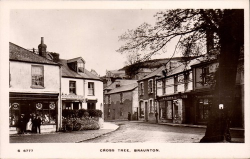 Braunton cross tree whs - cross, by
