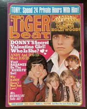 Tiger Beat Magazine - February