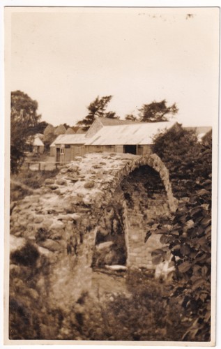 Carrbridge packhorse bridge - carrbridge,