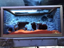 Reptile vivarium background - vivarium,