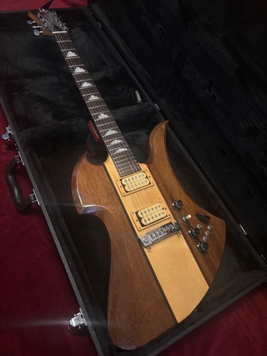 Rich mockingbird mg v - b.c.rich, mg-v