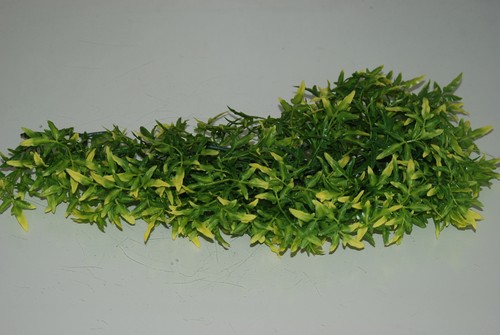Vivarium medium realistic - vivarium,