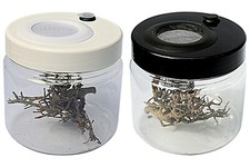 Praying Mantis,Stick