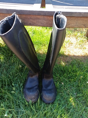 Mountain horse black - mountain,