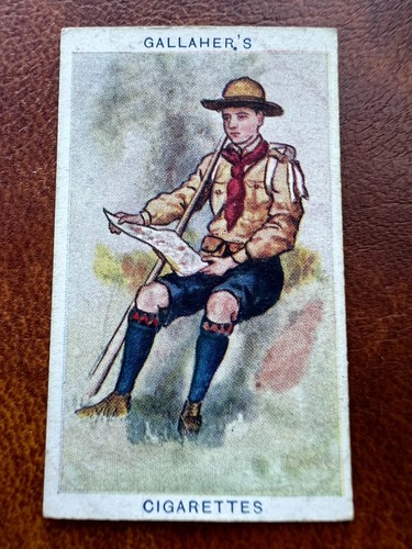Gallaher cigarette card boy - gallaher,