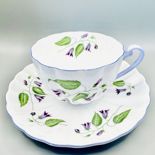 Shelley campanula 13886 - shelley,