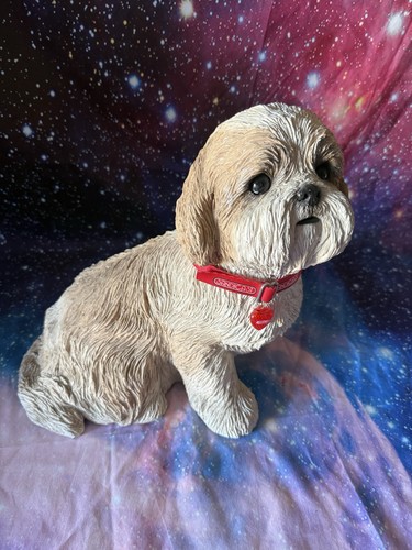 Sandicast shih tzu light - sandicast,