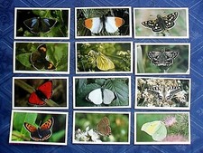 1986 GRANDEE MILD CIGARS TOP BRITISH BUTTERFLIES 32 CARDS COMPLETE FREE ?