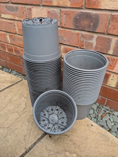 Plant pots used - plant, pots,