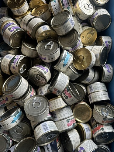 Untamed cat food - food, tins