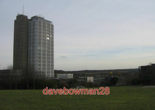 Photo basingstoke head - photo,
