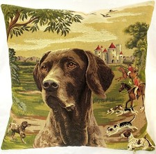 GERMAN SHORTHAIRED POINTER IN