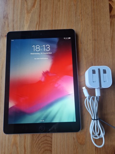 Apple ipad air - 1st, generation
