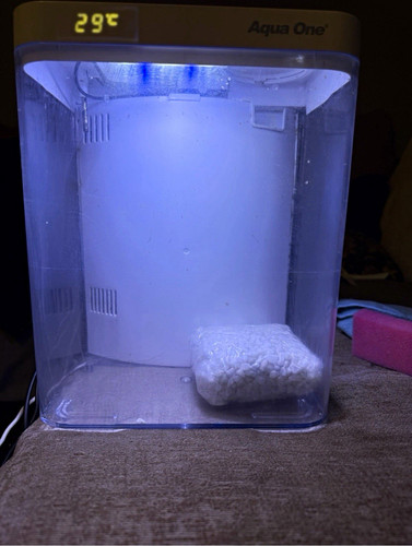 Aqua one mini aquarium - mini, 9.7l