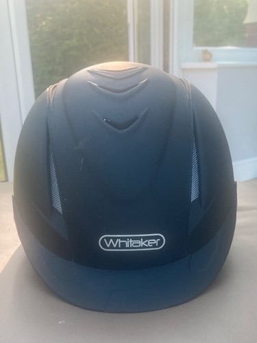 John whitaker nrg horse - john,