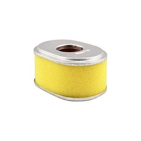 Air filter fits pasquali 10 - pasquali,