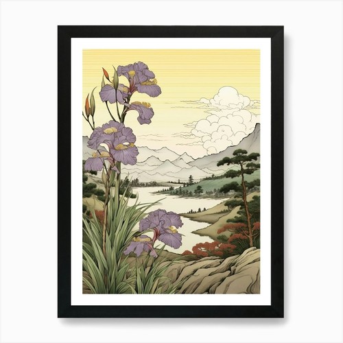 Ayame japanese iris - ayame,