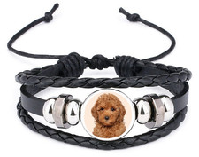 Miniature Poodle Dog Black