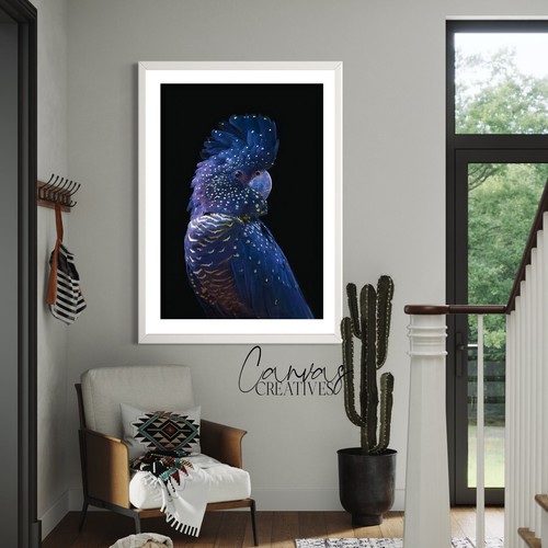 Blue cockatoo bird wall art - cockatoo,