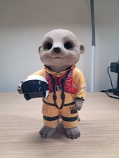 Meerkat  - Baby RMLI meerkat