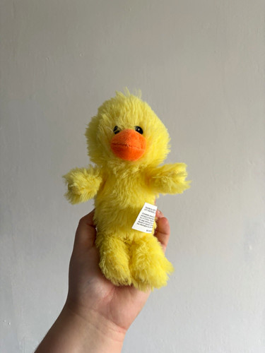 Asda chuck chicken duck plush
