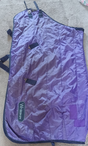 Whitaker purple stable rug - stable,