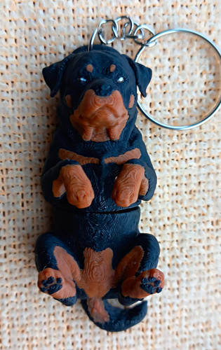 Rottweiler dog style - dog,