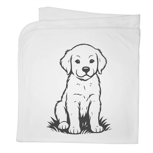 Golden retriever puppy - 'golden,