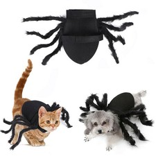 Halloween Pet Black Spider