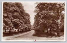 Lime Tree Avenue The Dukeries