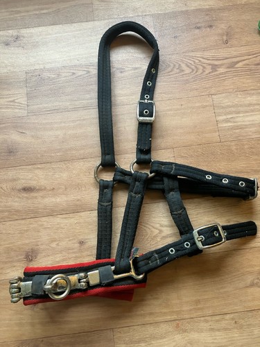 Aerborn lunge cavesson black - cavesson,