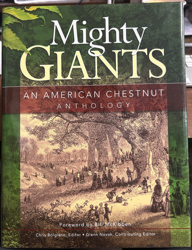 Mighty giants american - giants:,