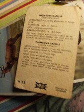 Pt2 Trade Card Dandy Gum Wild Animals ONE CARD ONLY No H 43