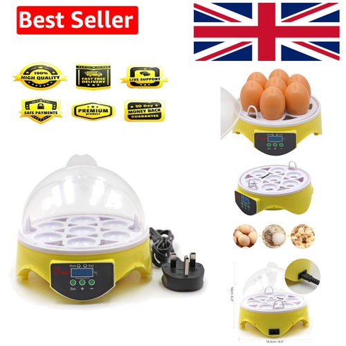 Eggs incubator poultry - incubator,