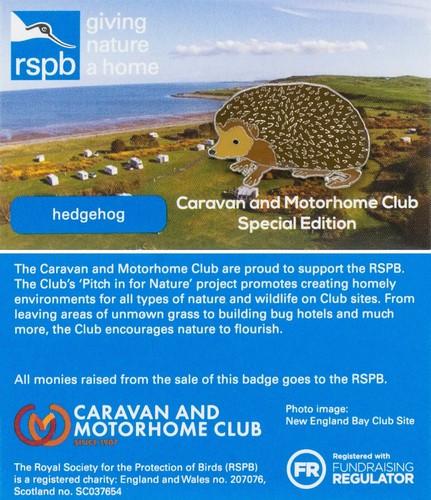 Rspb pin badge special - rspb,