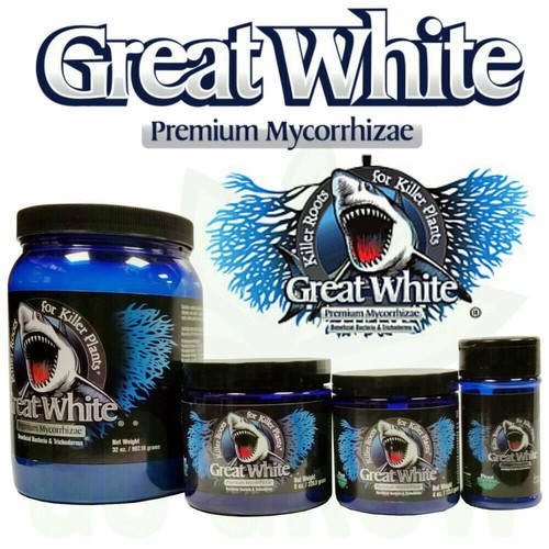 Great white 100 organic - 100%,