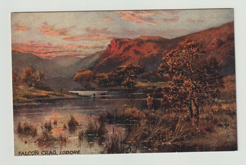 Tuck oilette postcard - postcard,, falcon