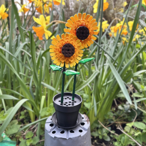 Lego botanicals flower - botanicals, display